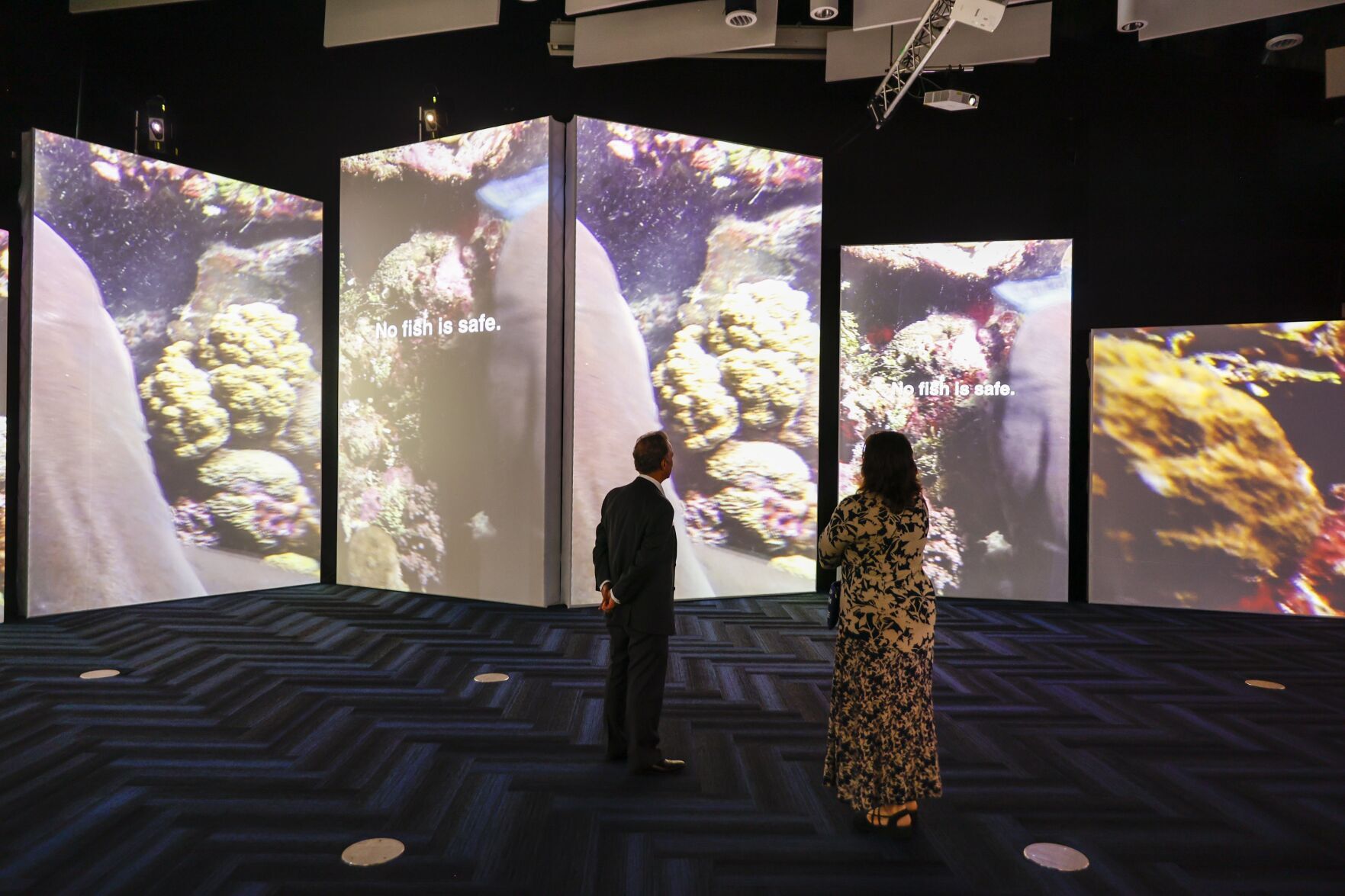 20220527_MET_SHARK